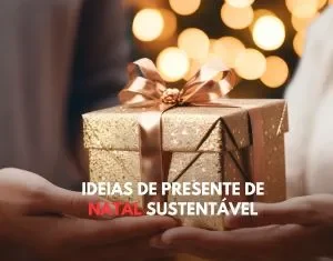 IDEIAS DE PRESENTE DE NATAL SUSTENTÁVEL